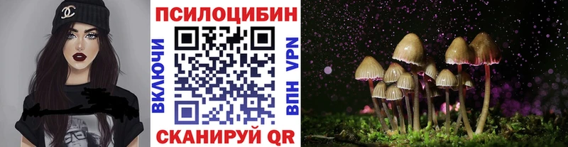 Купить  Нюрба  Галлюциногенные грибы мицелий 